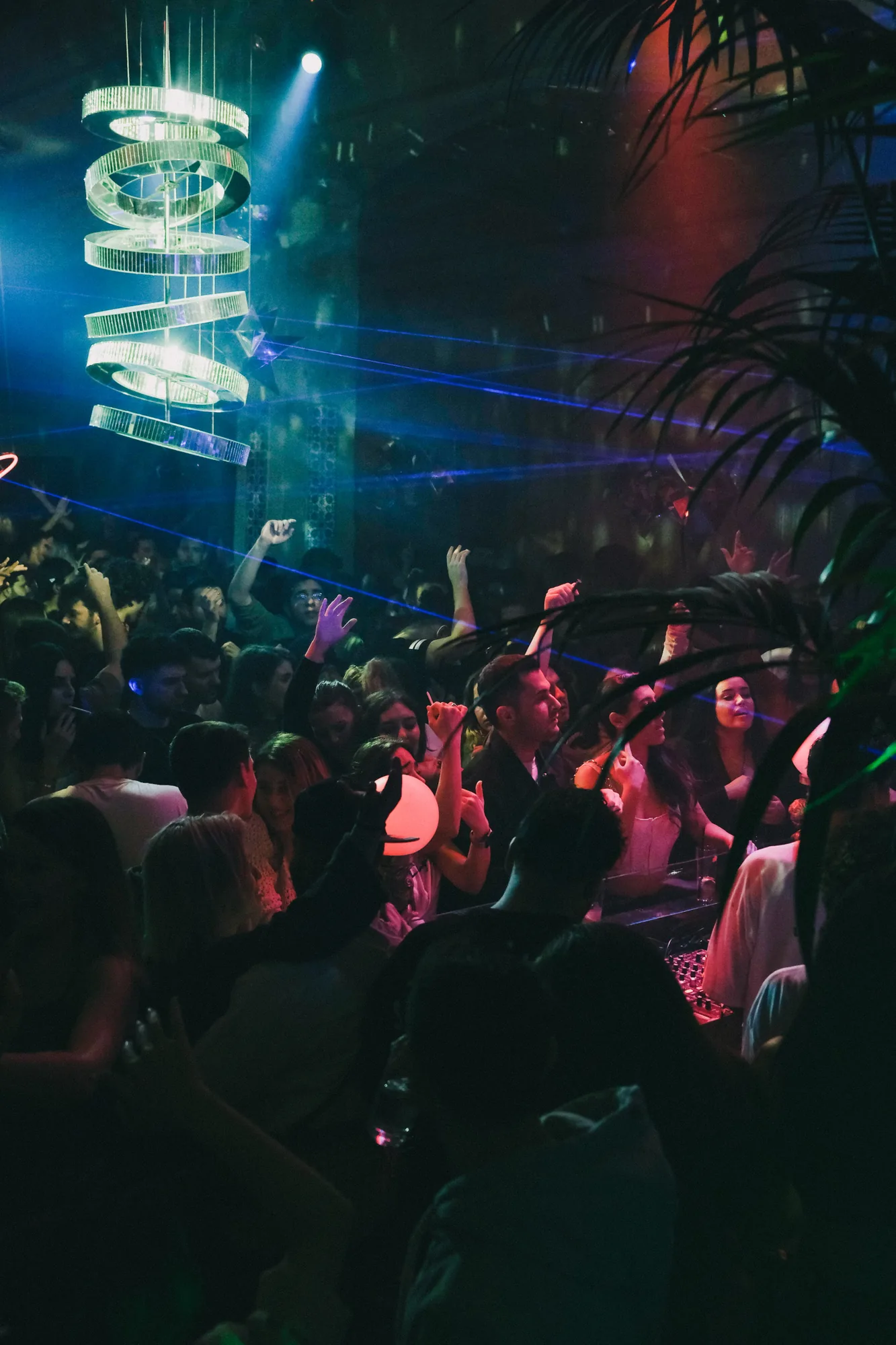 A packed dancefloor under club lighting during race week