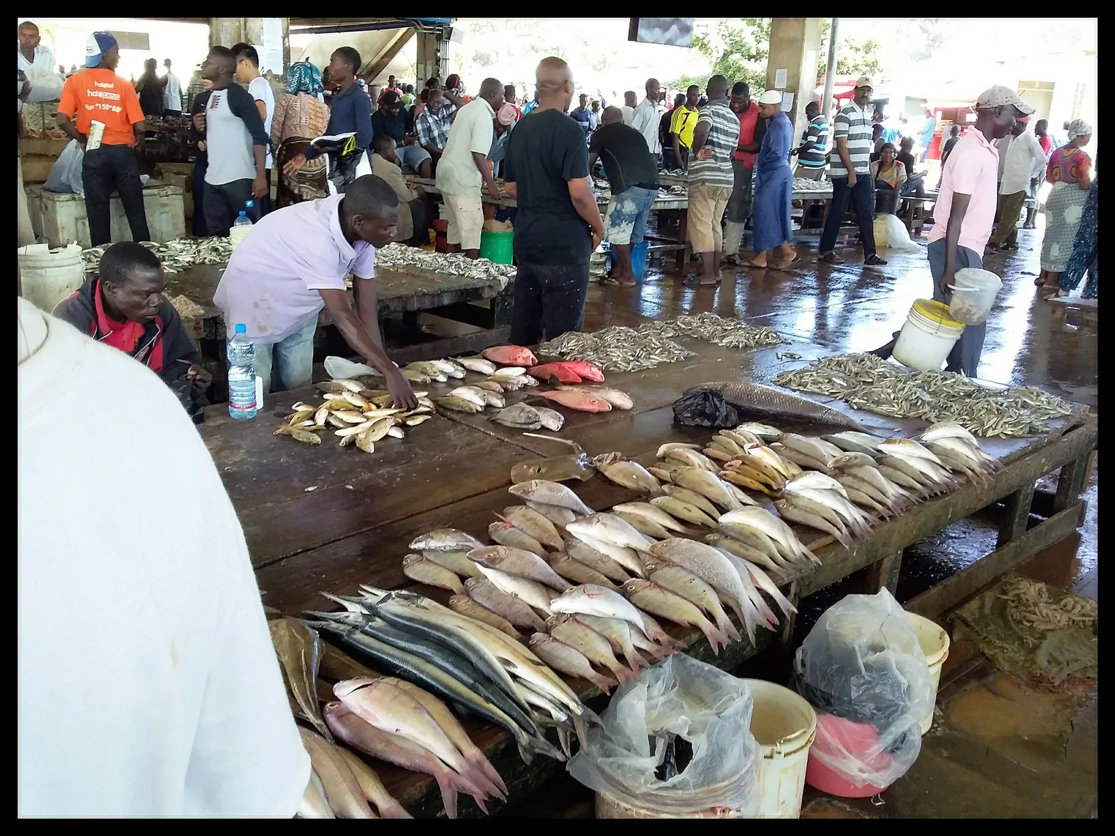 Kivukoni Fish Market