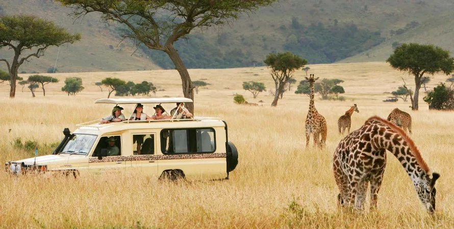 Lake Manyara National Park