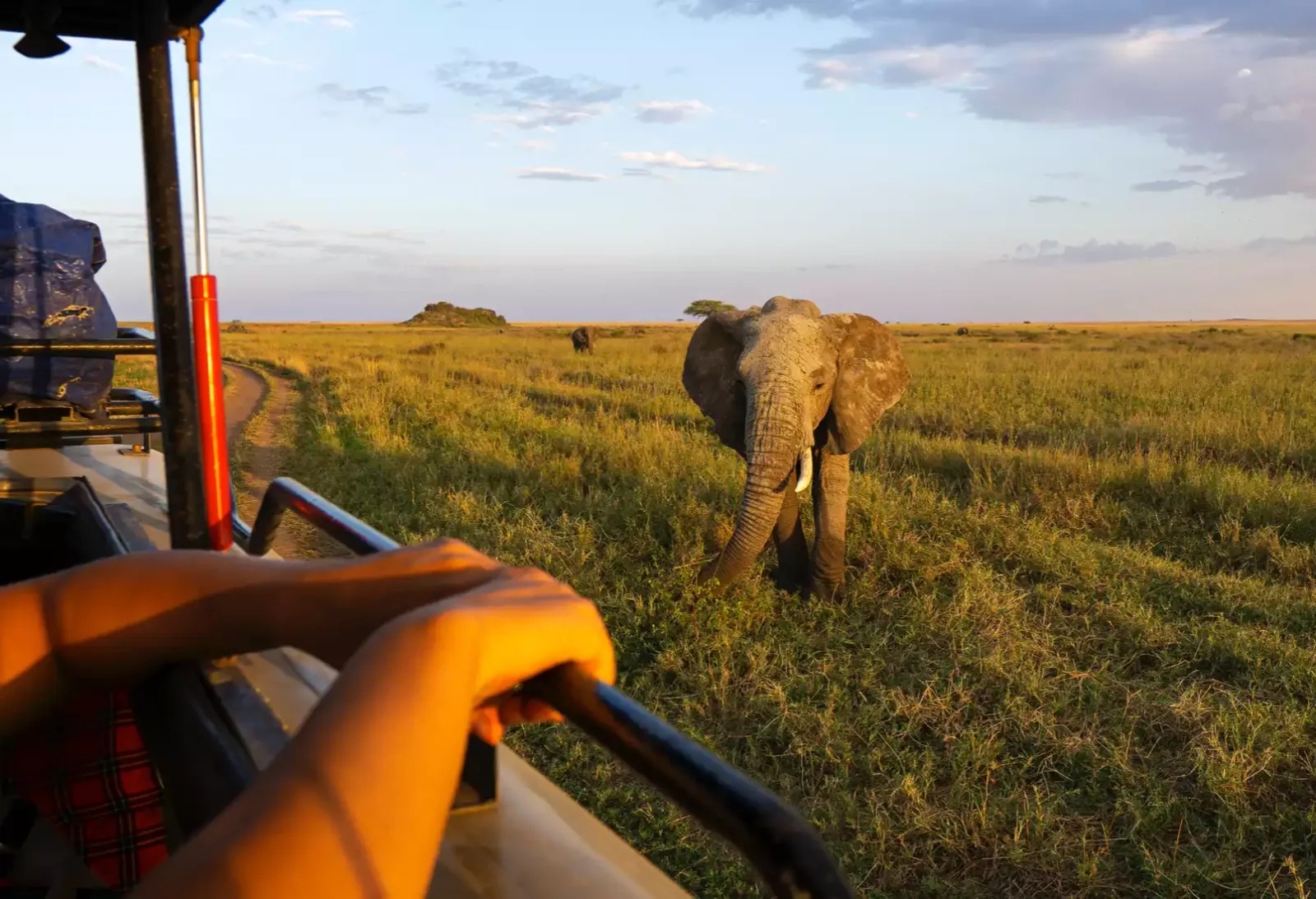 Saadani National Park