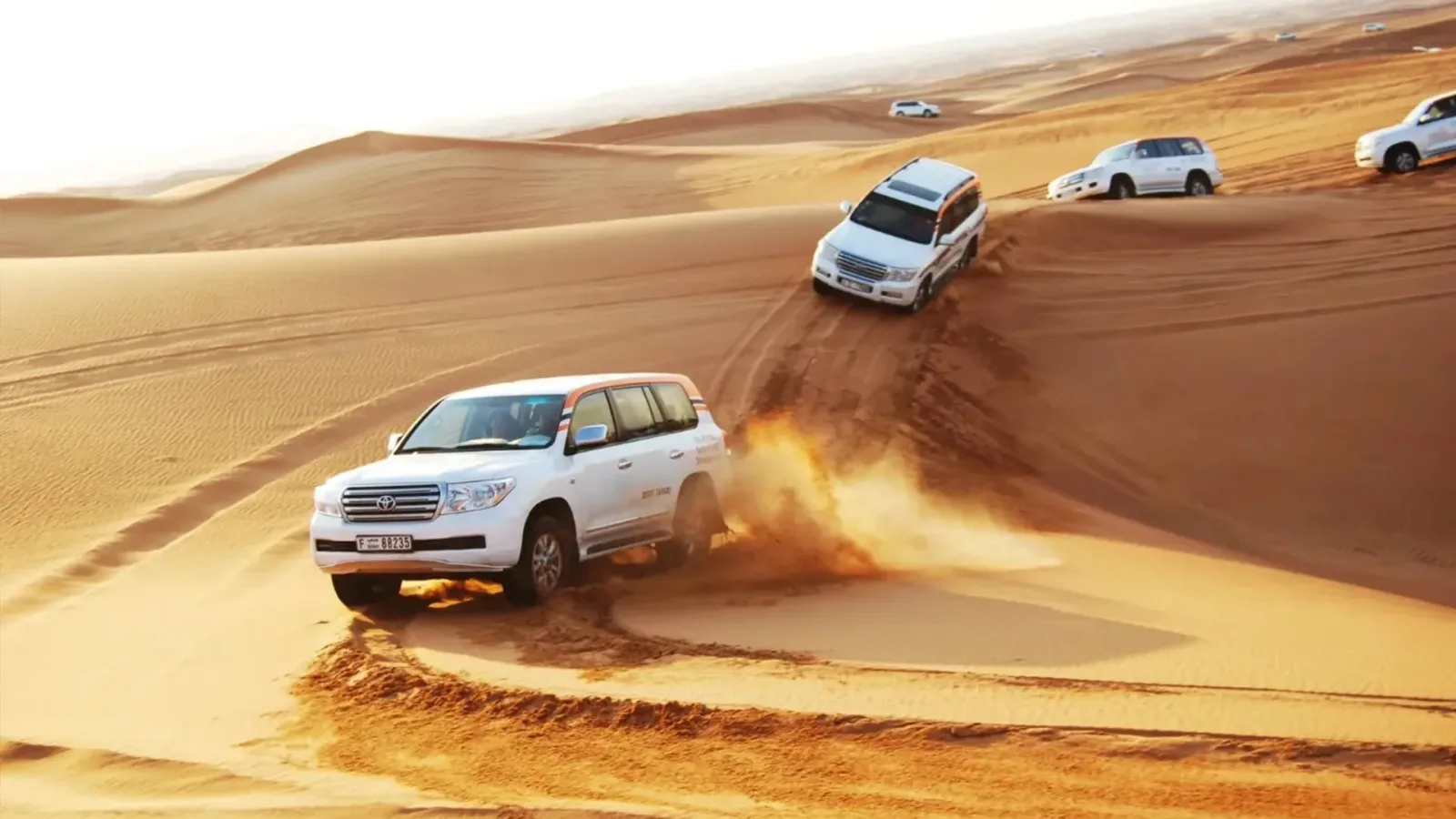 Desert safari and dune bashing