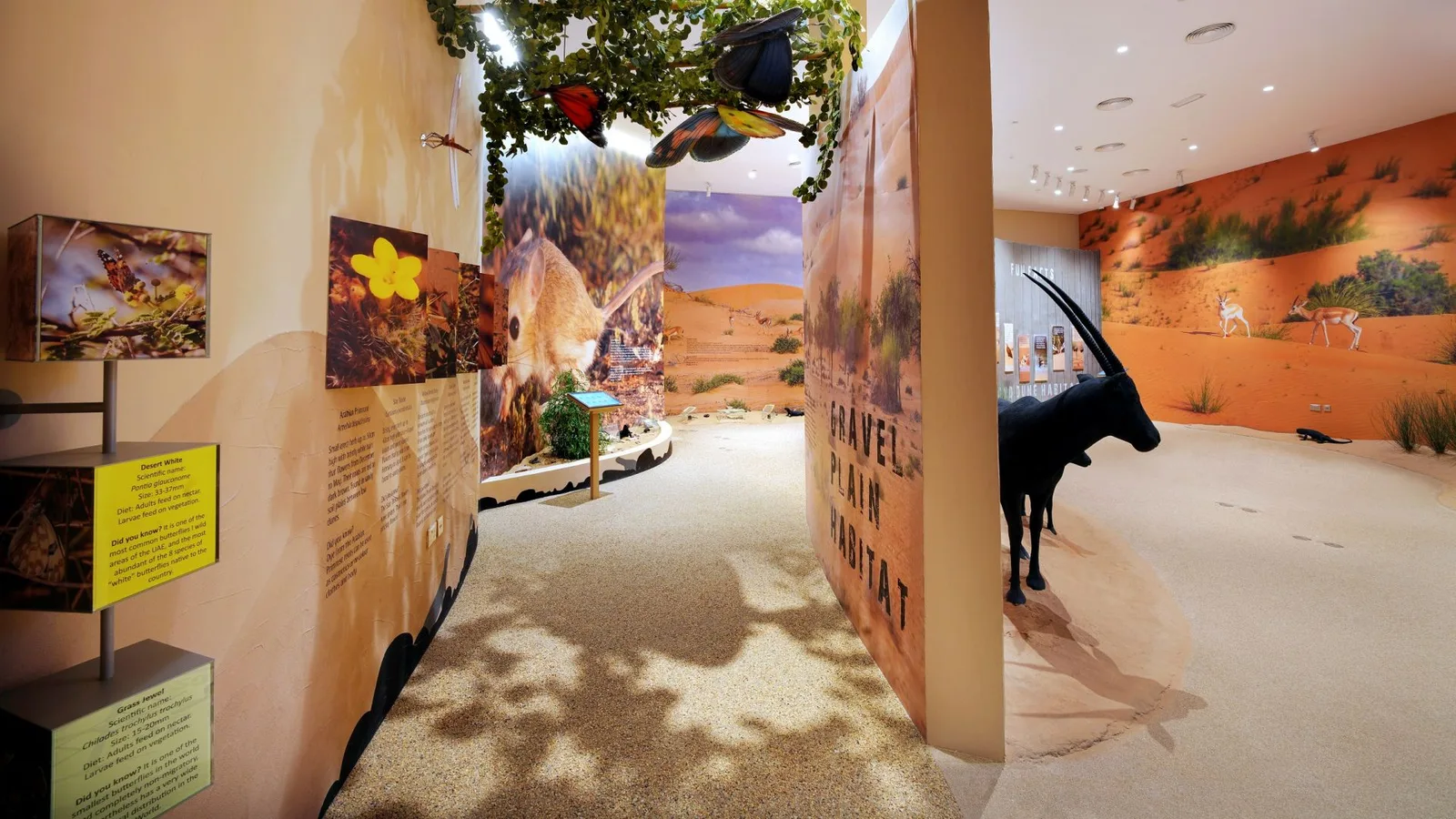 Dubai Desert Conservation Reserve